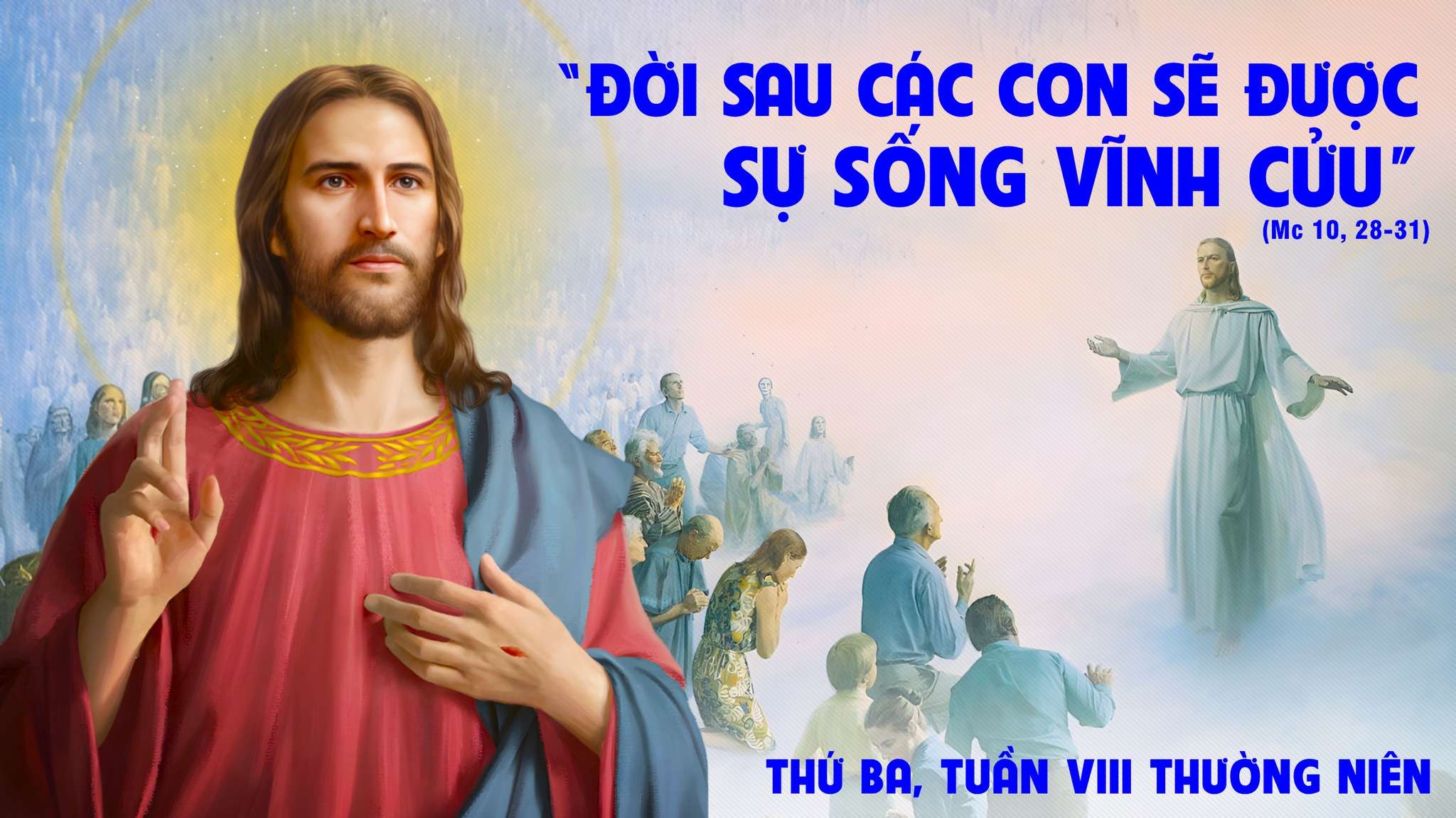 Thứ Ba tuần VIII Thường Niên: Gấp trăm, ngược đãi và sự sống