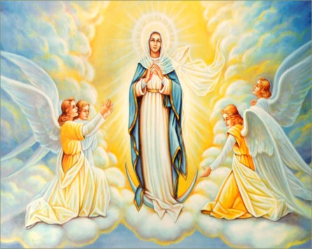 Ngày 22/8: Đức Maria Trinh Nữ Vương