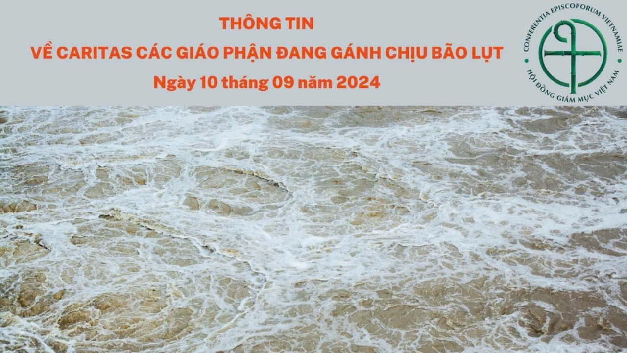 Thông tin về Caritas các giáo phận đang gánh chịu bão lụt (10/09/2024)