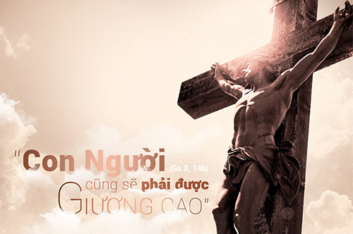 LỄ SUY TÔN THÁNH GIÁ