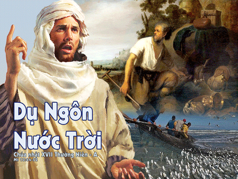Các Bài Suy Niệm Chúa Nhật XVII Thường Niên, năm A
