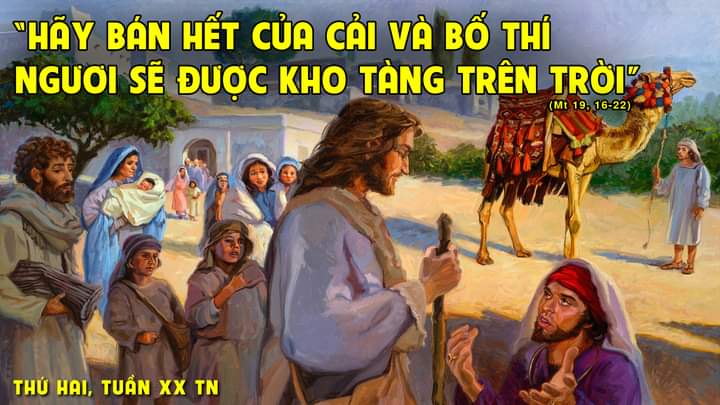 Thứ Hai tuần XX Thường niên: “Tôi phải làm gì để được sự sống đời đời?”