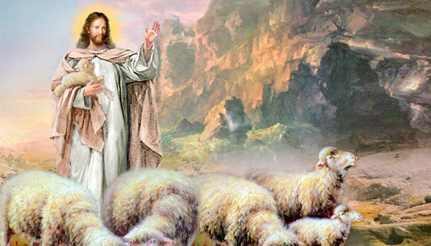 Thứ Ba tuần IV Phục Sinh: Chiên của tôi thì nghe tiếng tôi…