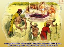 Chúa Nhật XXVII Thường Niên, năm A: Đó chính là công trình của Chúa…