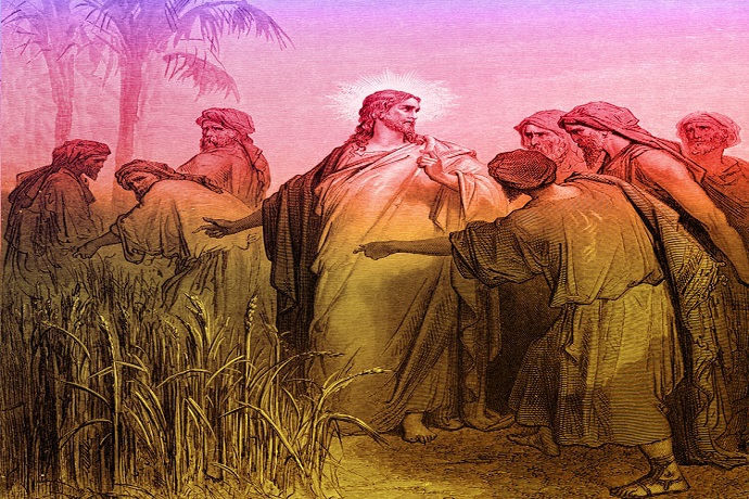 Thứ Ba tuần II Thường niên: "Ngày Sabát làm ra vì loài người,..."