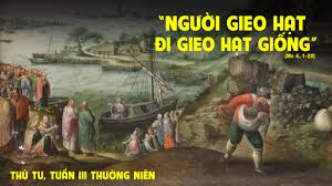 Thứ Tư tuần III Thường niên: “Người gieo giống đi ra gieo giống”