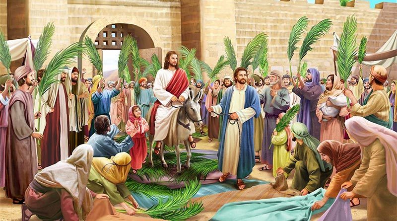 Các Bài Suy Niệm Lễ Lá – Năm C