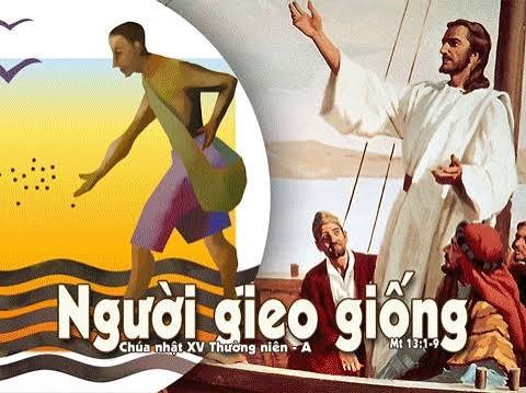 Các Bài Suy Niệm Chúa Nhật XV Thường niên, năm A