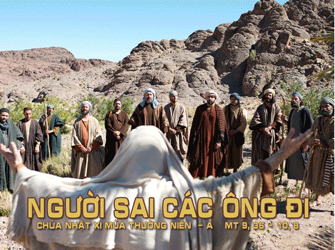 Chúa Nhật XI Thường niên, năm A: Đức Giêsu thấy đám đông thì chạnh lòng thương