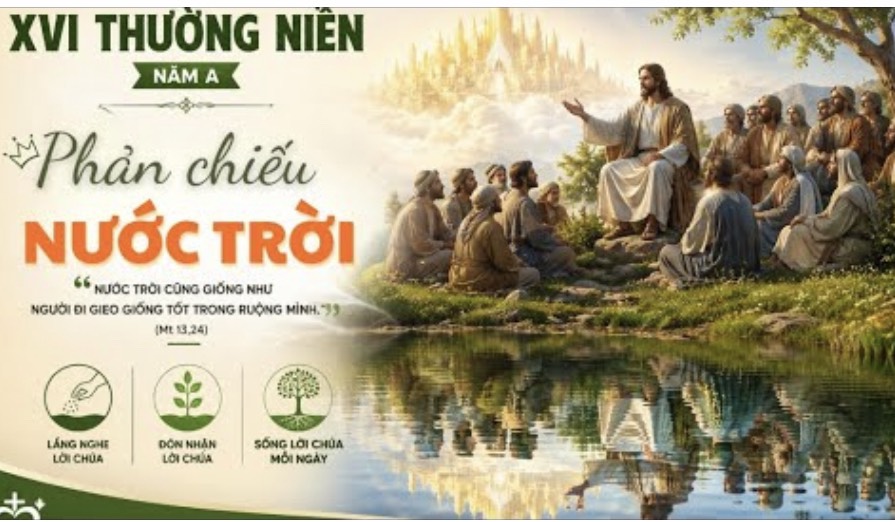 Suy niệm Lời Chúa, Chúa Nhật XVI Thường niên, năm A: PHẢN CHIẾU NƯỚC TRỜI