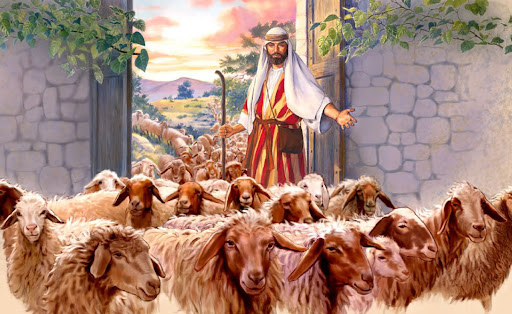 Thứ Hai tuần IV Phục Sinh: “Tôi đến để cho chiên được sống và sống dồi dào”