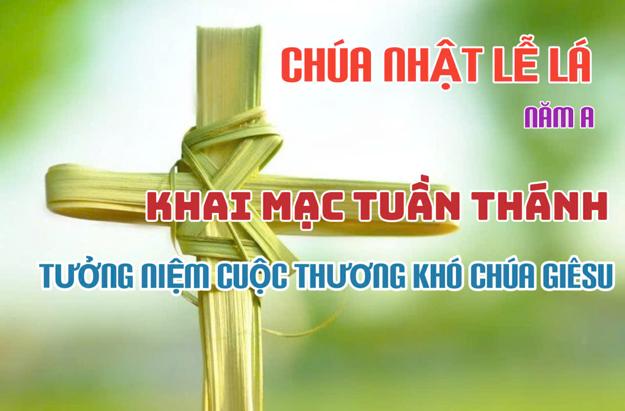 Các Bài Suy Niệm Chúa Nhật Lễ Lá, năm A