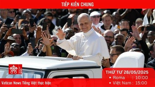 Tiếp kiến chung 28/5/2025 - ĐTC Lêô: Đứng trước đau khổ và yếu đuối của tha nhân, chúng ta chọn quan tâm chăm sóc họ hay ngoảnh mặt đi?