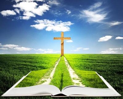 Tìm hiểu Đức Tin Công Giáo: Bài 31- Tiếp tục cuộc hành trình