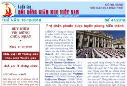 Tuần tin Hội đồng Giám mục Việt Nam số 47/2018