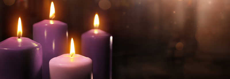 Tòa Thánh phát động chiến dịch cầu nguyện trong Mùa Vọng theo tinh thần Laudato si'