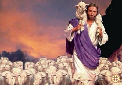 … Để cho chiên được sống … sống dồi dào hơn – Suy niệm ngày 13.05.2019