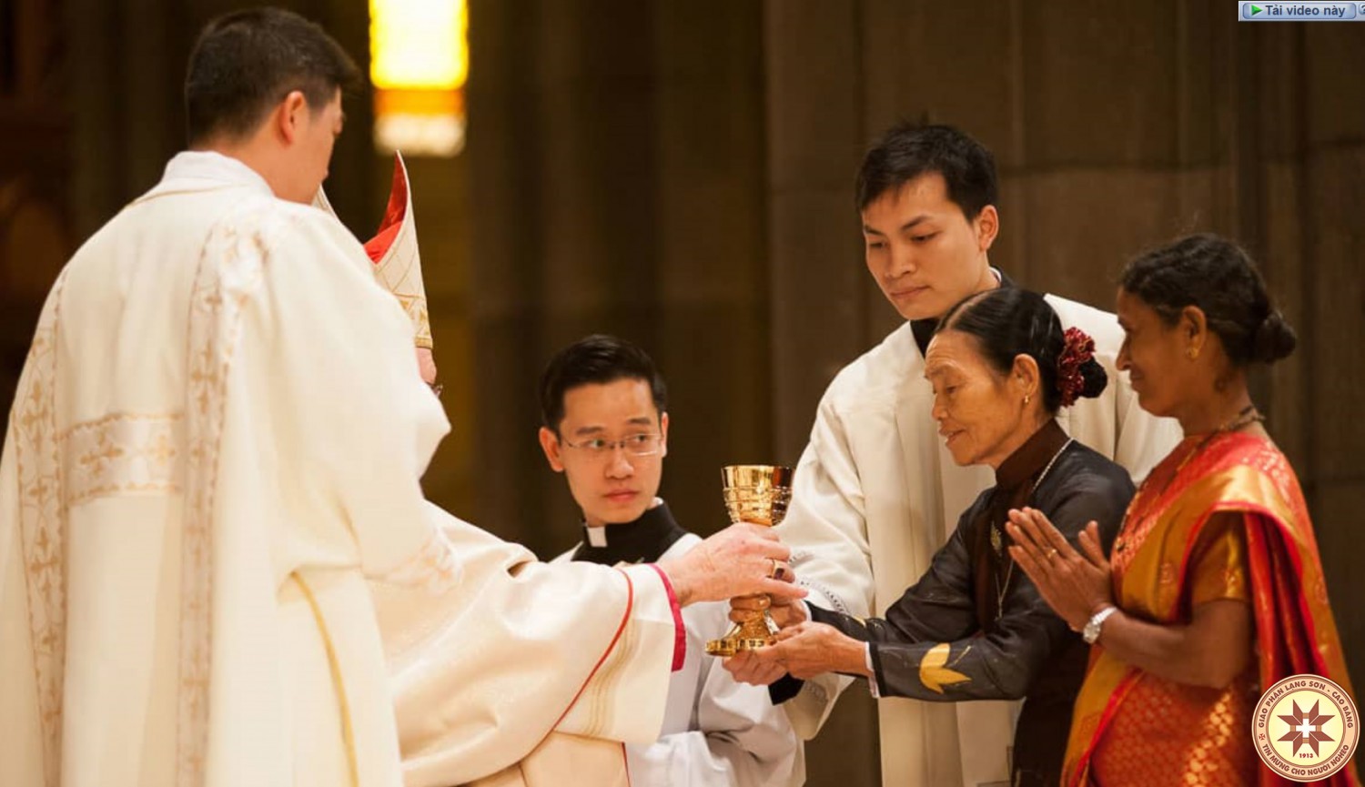 Người Việt Nam chiếm phần lớn trong 481 vị được thụ phong linh mục trong năm nay tại Hoa Kỳ