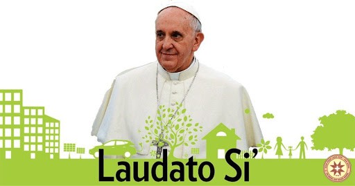 Thông điệp Laudato Si’ hướng đến tương lai hậu đại dịch